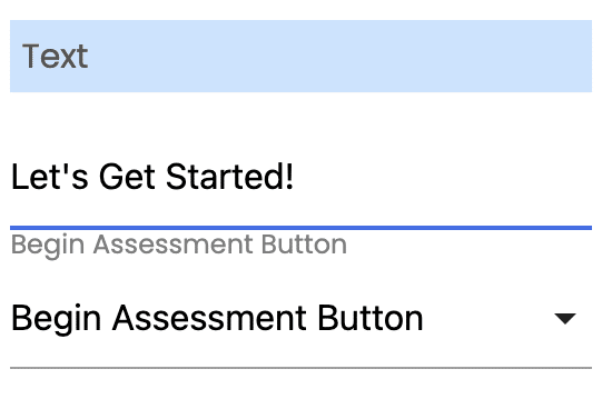 Begin Assessment Button Text